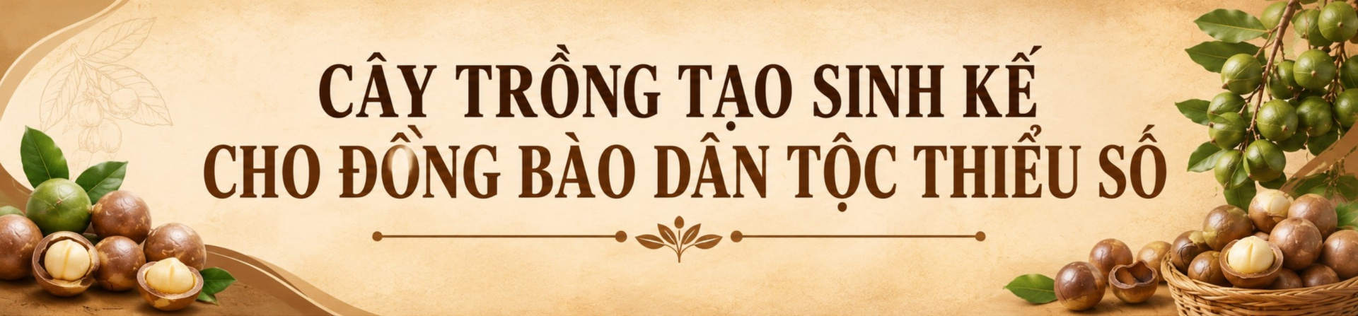 cây mắc ca Lâm Đồng