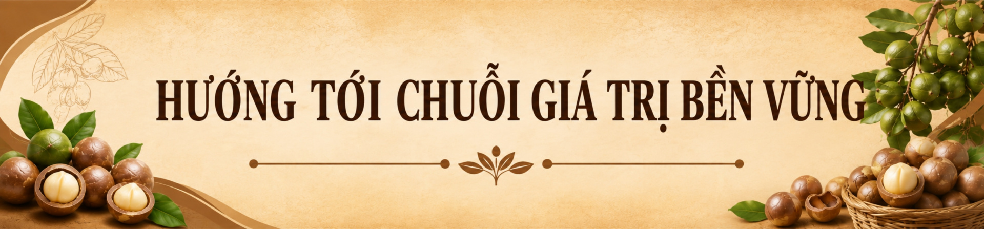 cây mắc ca Lâm Đồng