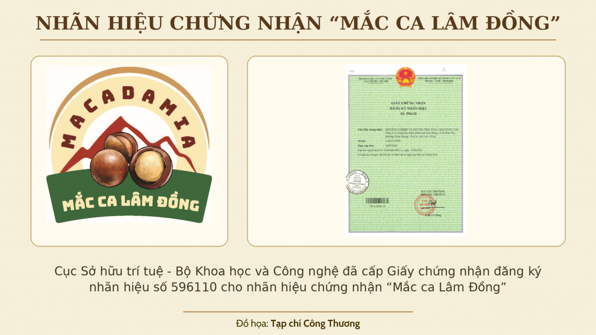 mắc ca Lâm Đồng