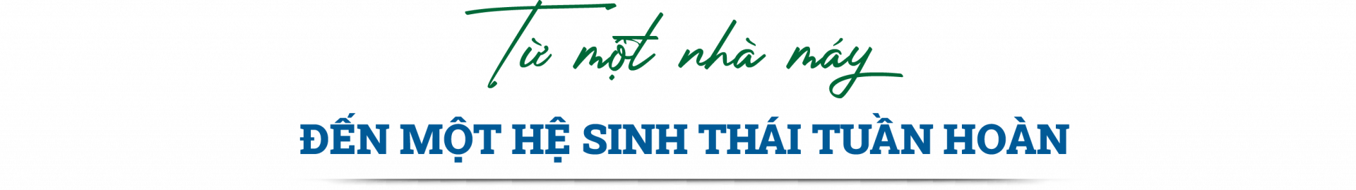 Thép Miền Nam