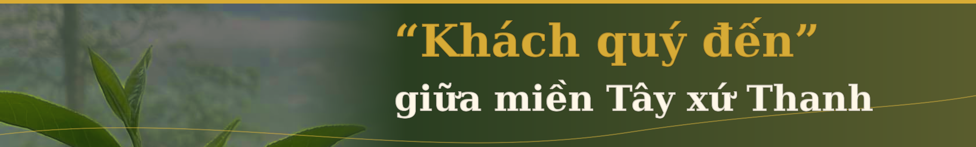 chè Tán Ma