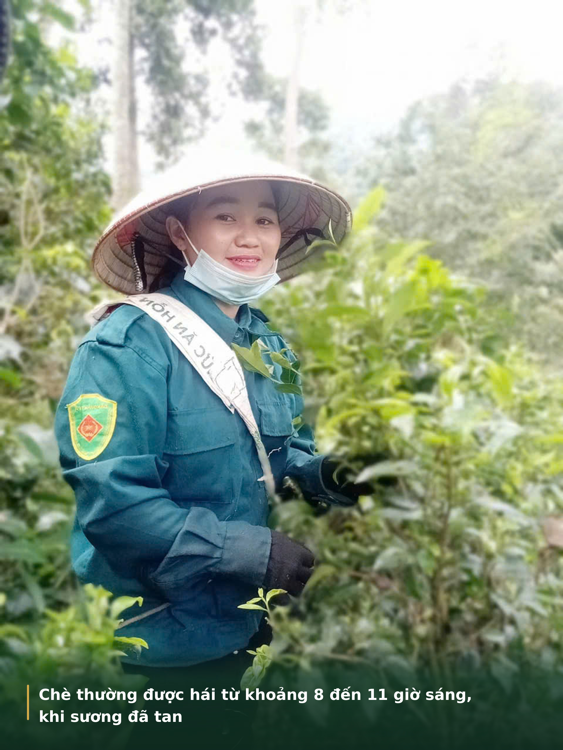 chè Tán Ma