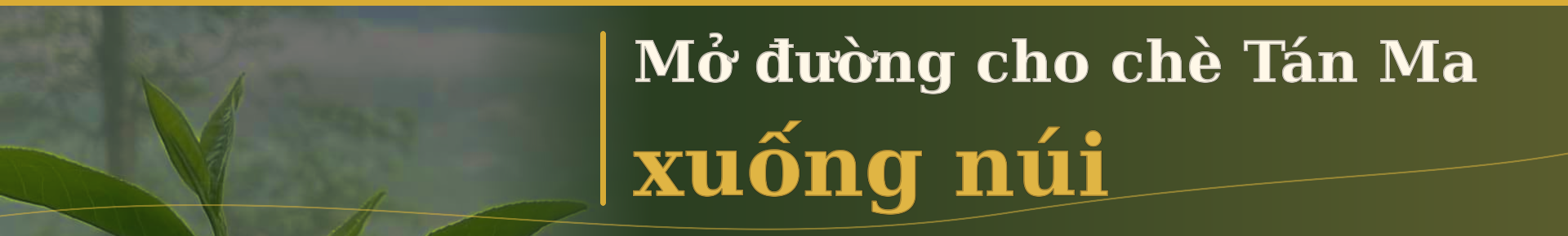 chè Tán Ma