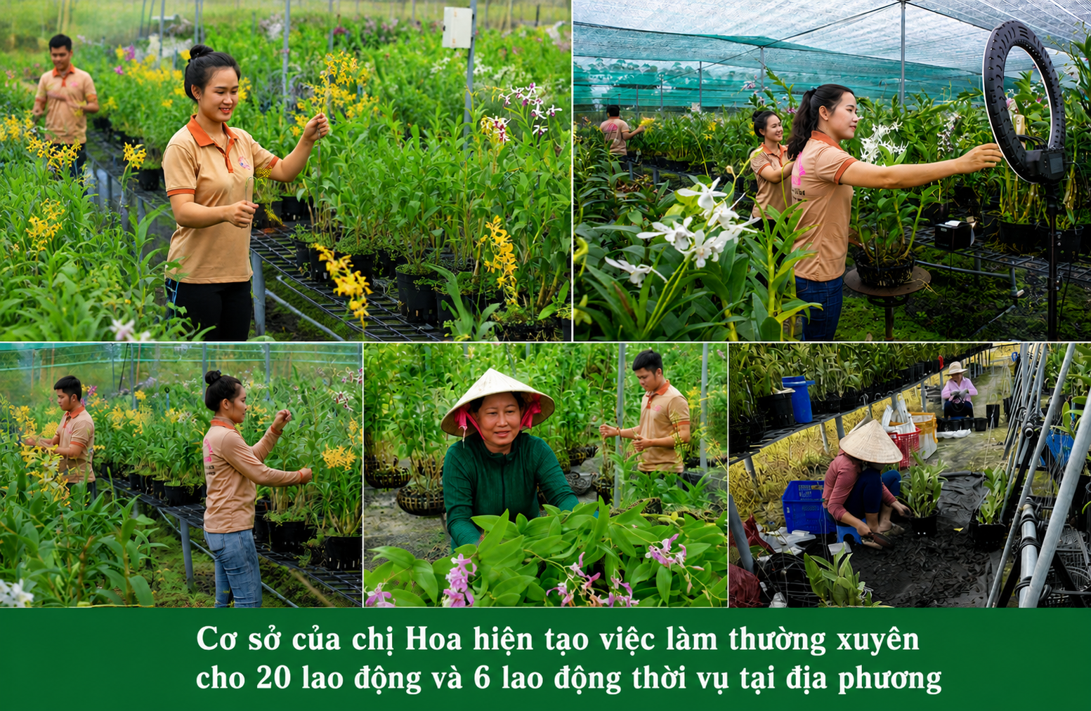 vườn lan