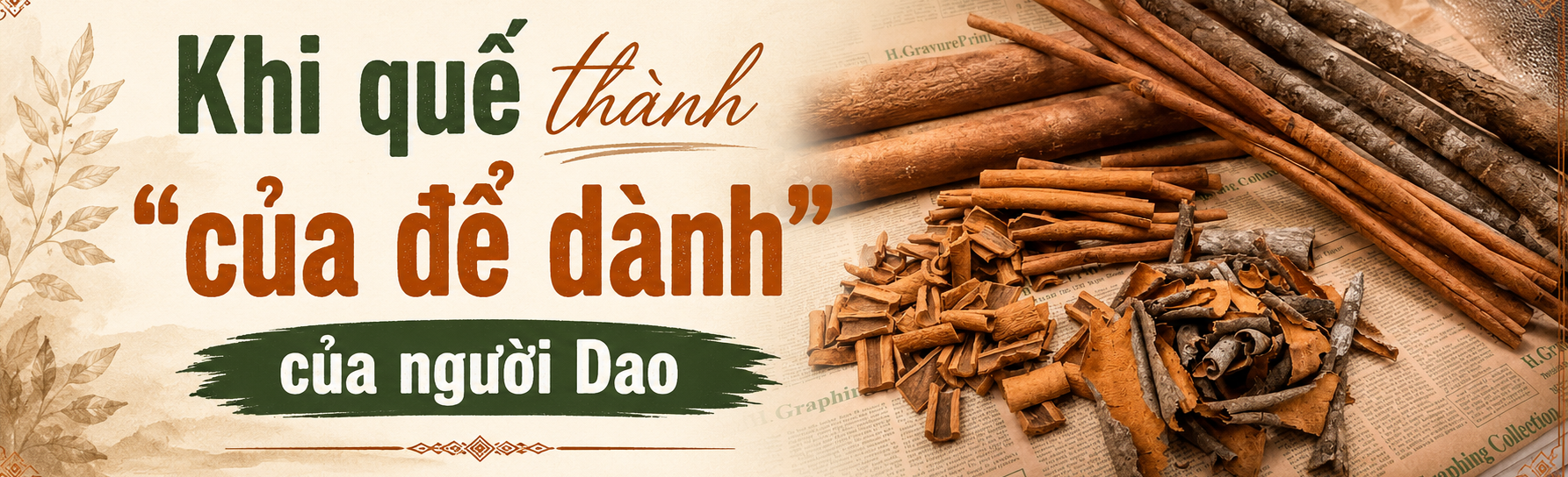 quế Nậm Đét