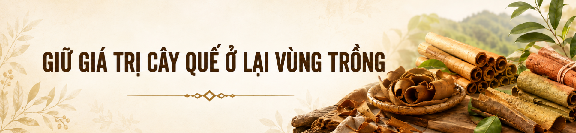 quế Nậm Đét