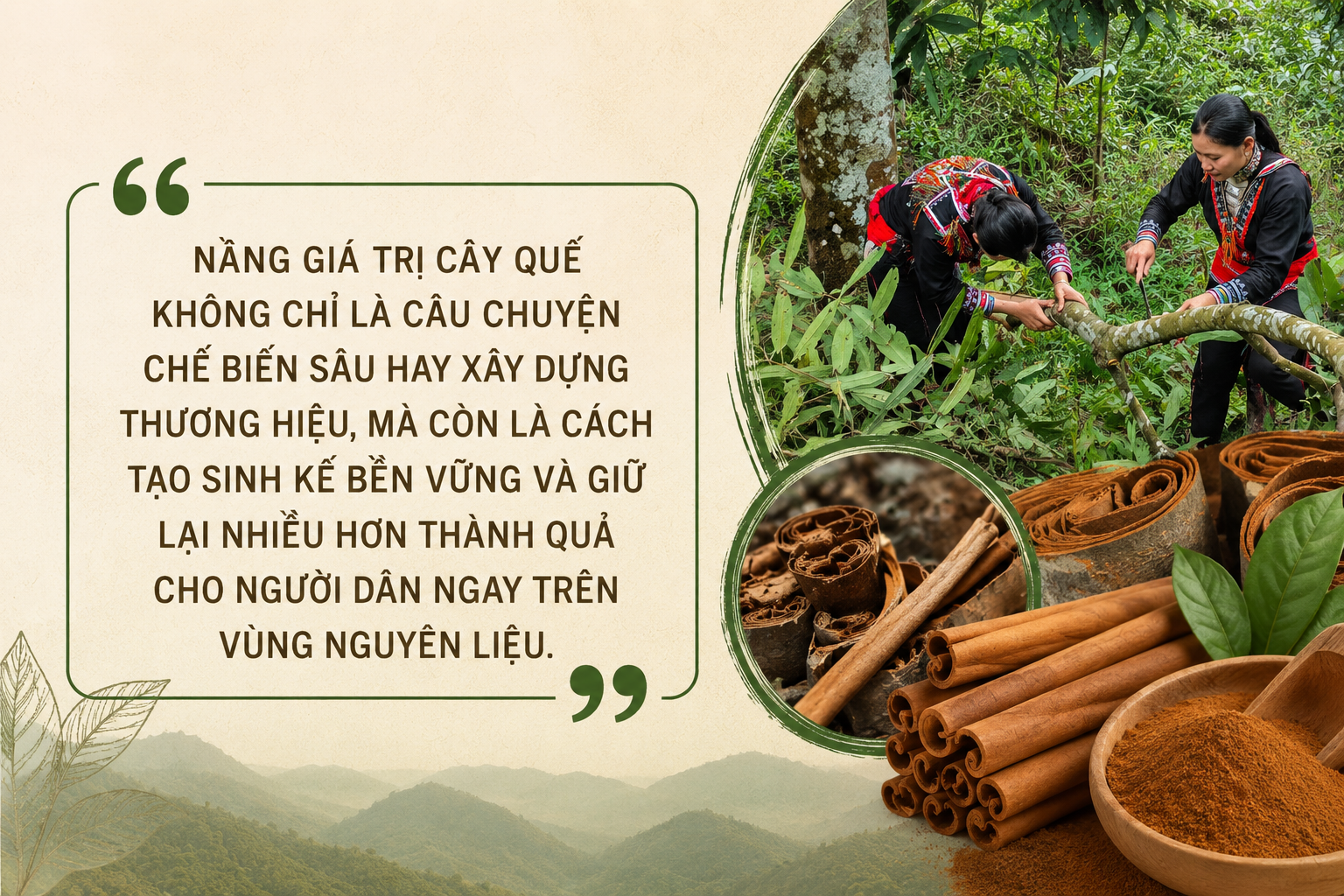 quế Nậm Đét