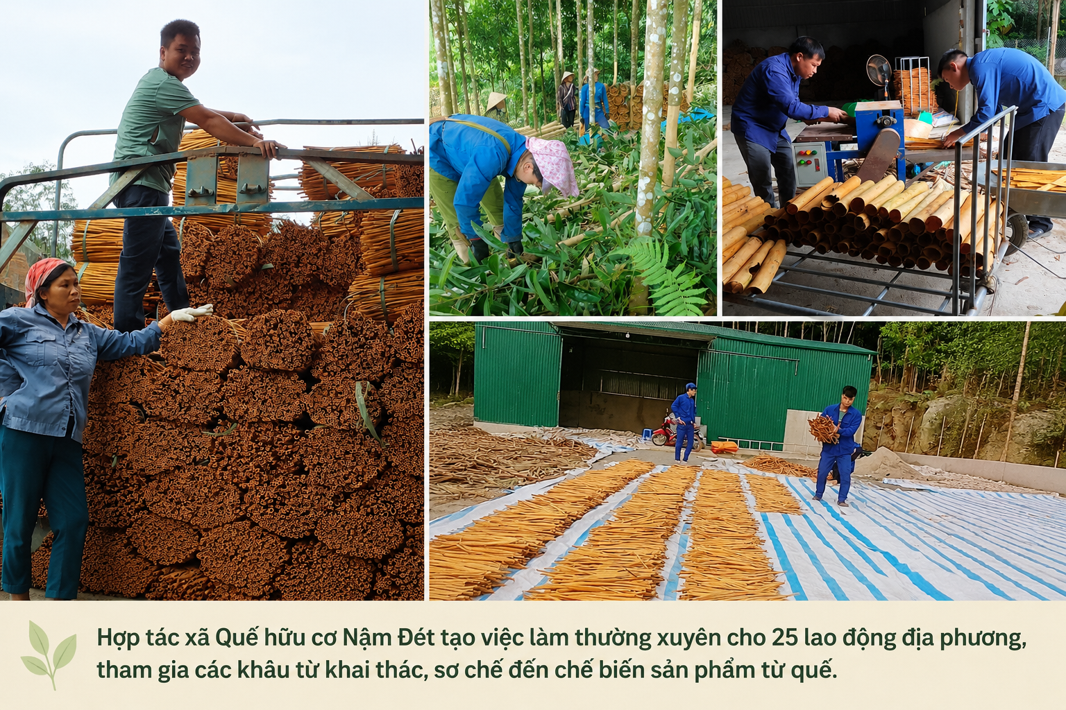quế Nậm Đét
