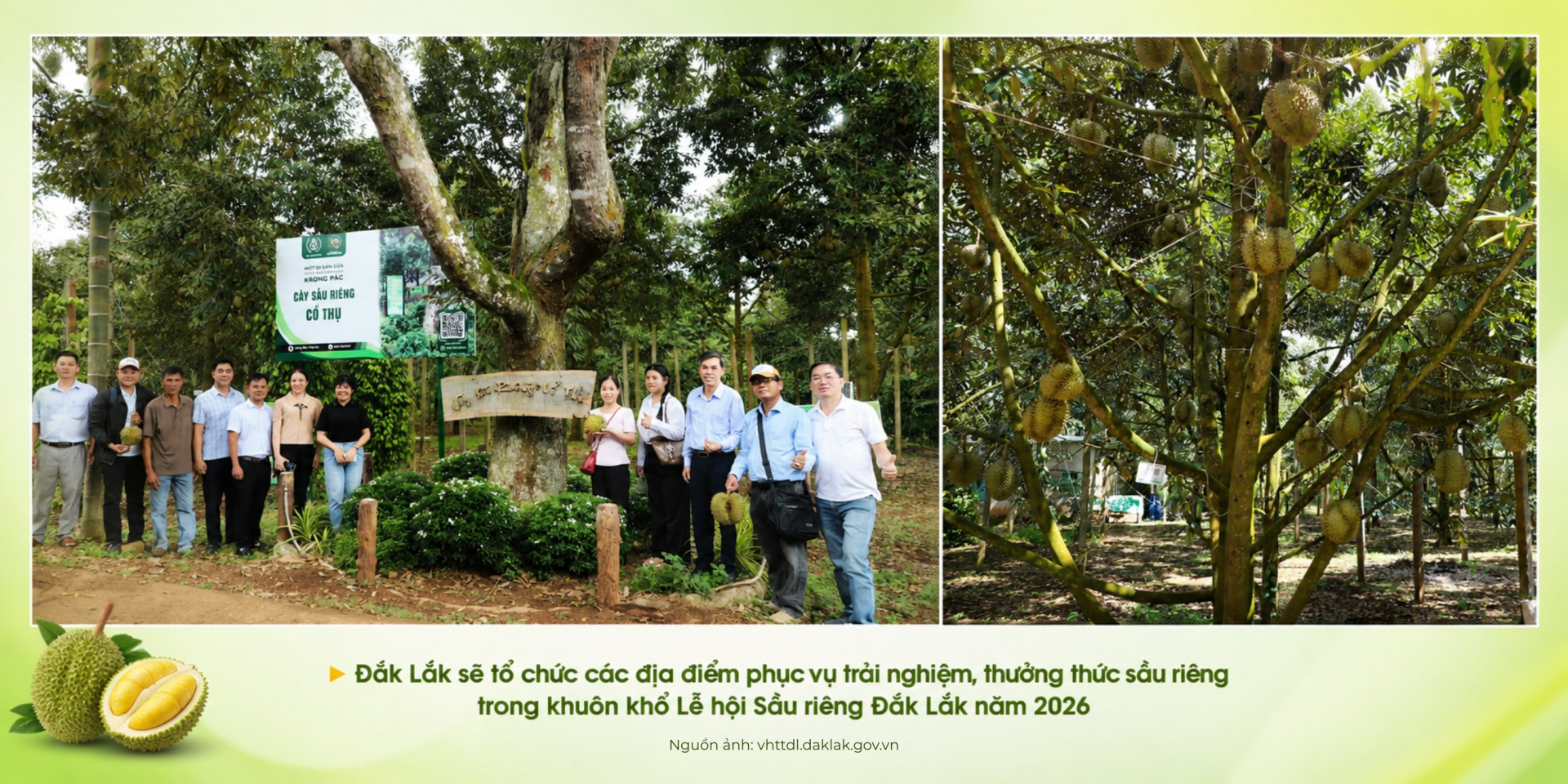 đắk lắk