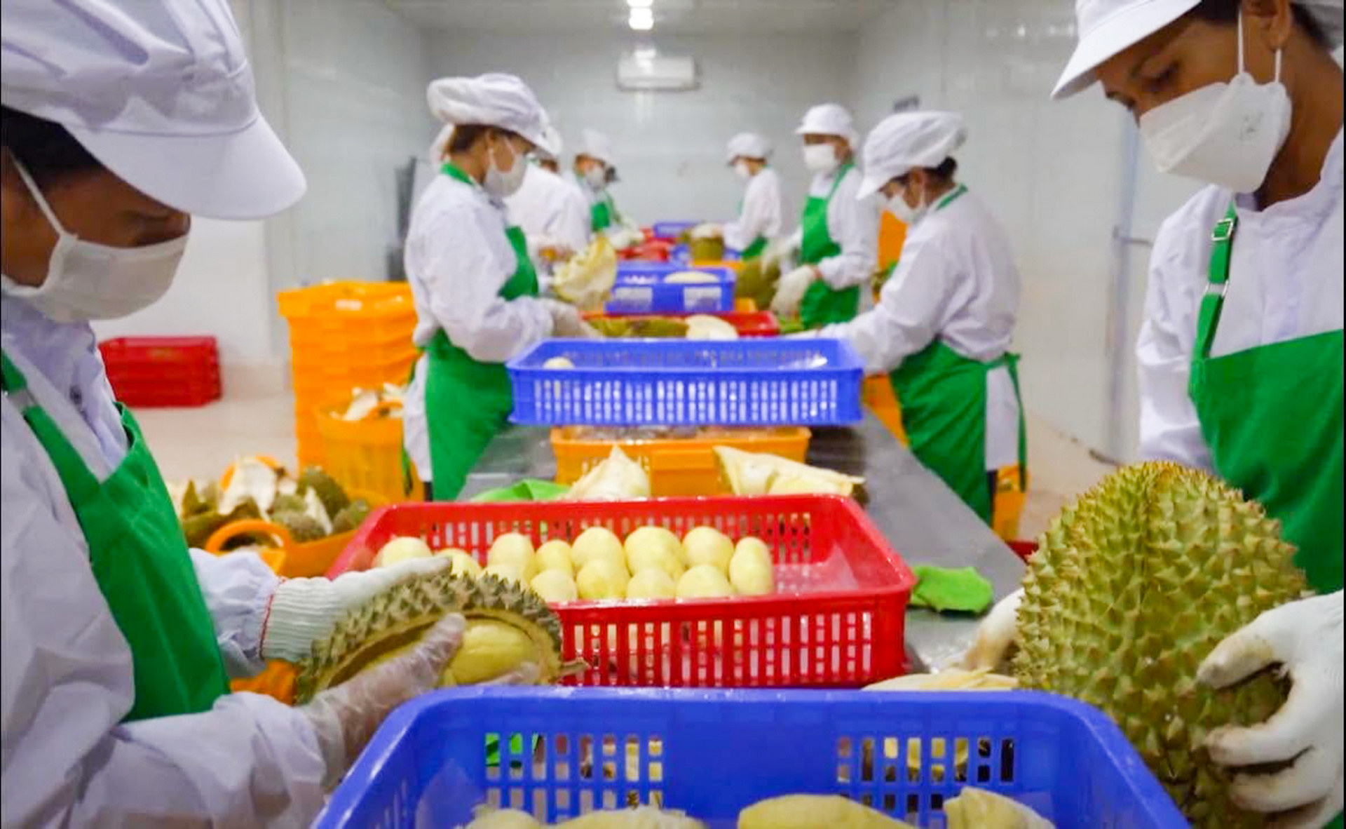 Đắk Lắk