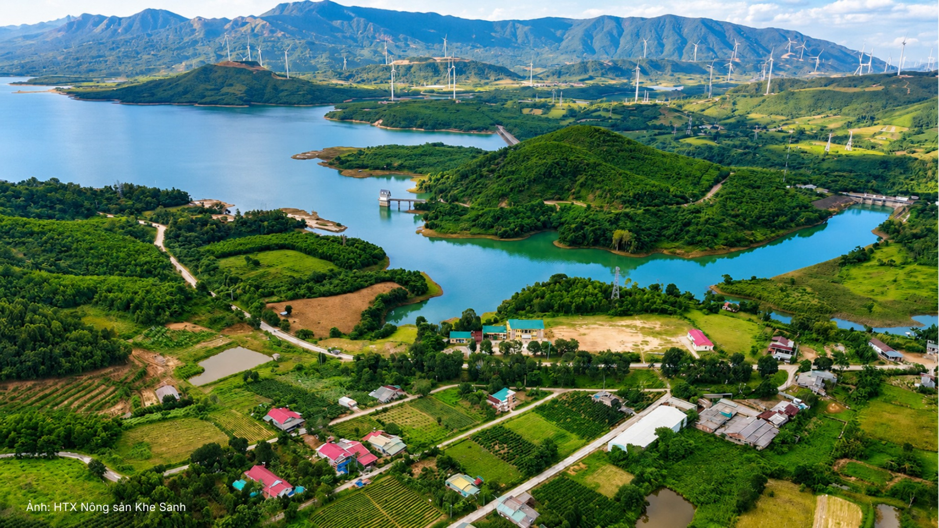 cà phê hướng hóa