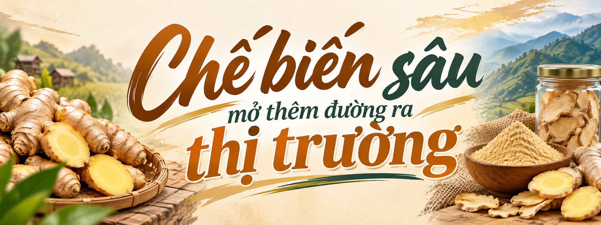 gừng Kỳ Sơn