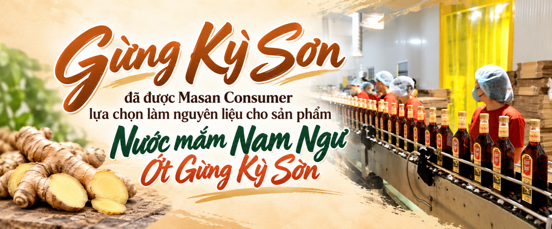 gừng Kỳ Sơn