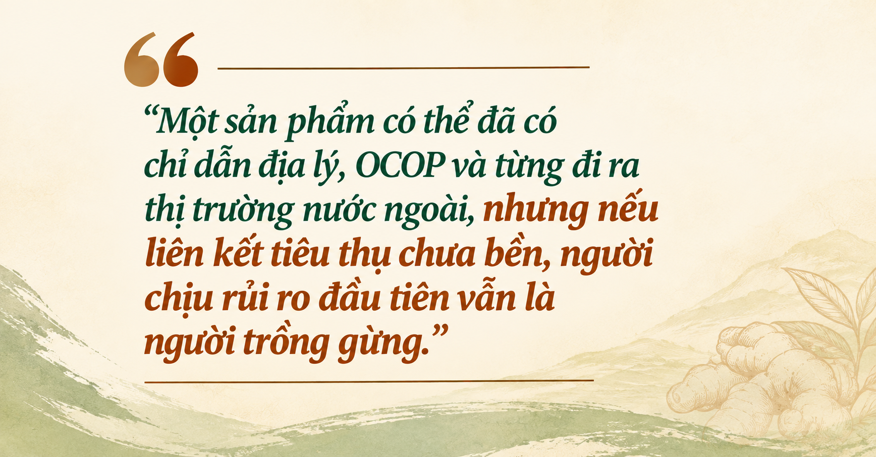 gừng Kỳ Sơn