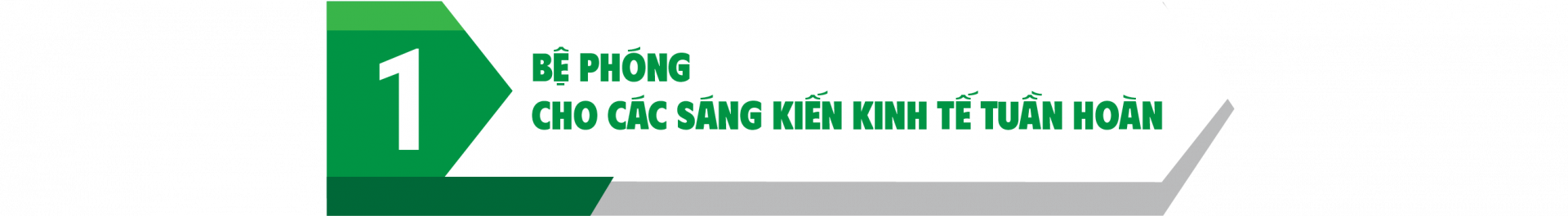 thực thi EPR trong đồ uống
