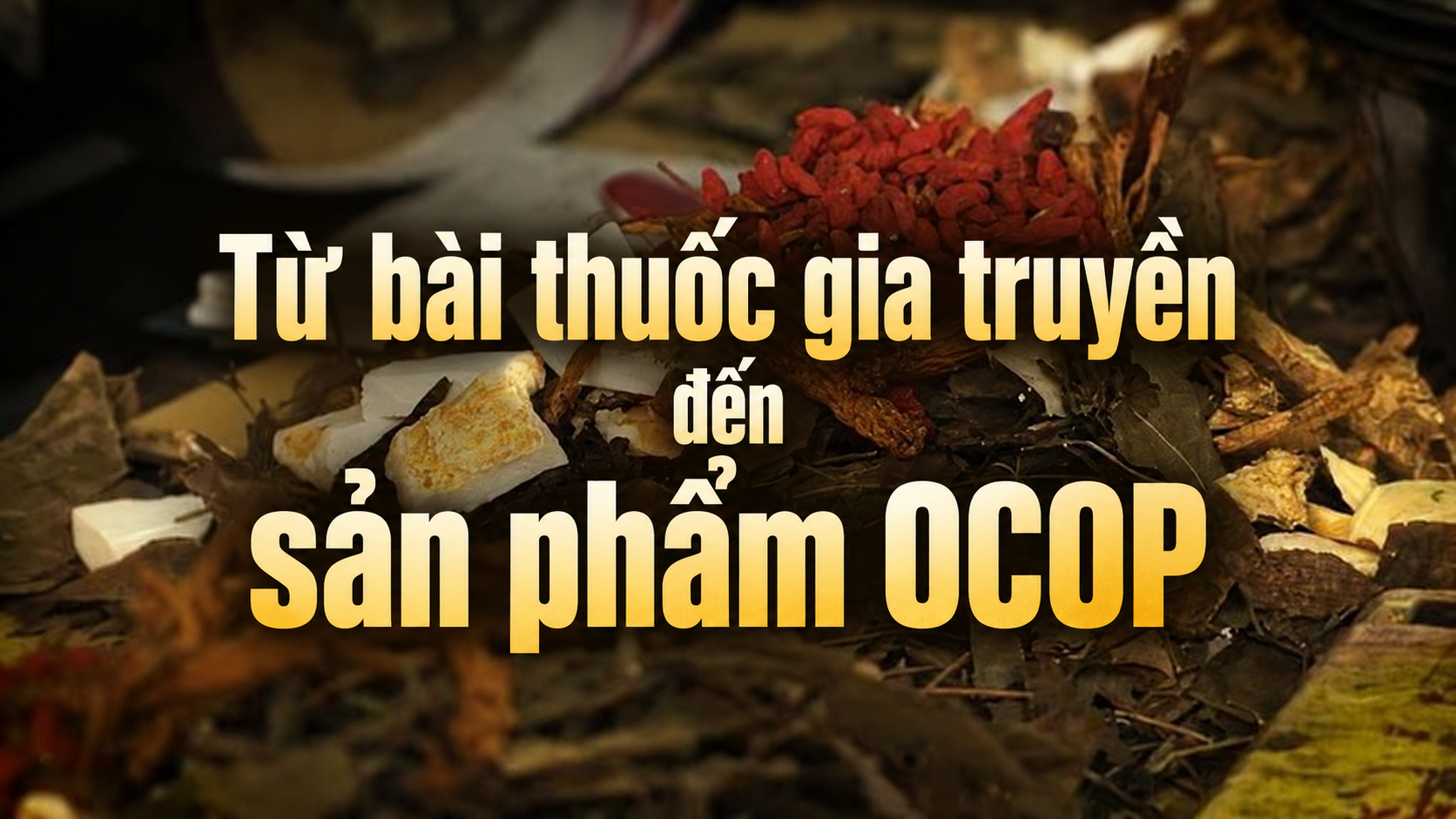 Để thuốc Nam người Dao Ba Vì sống cùng thị trường