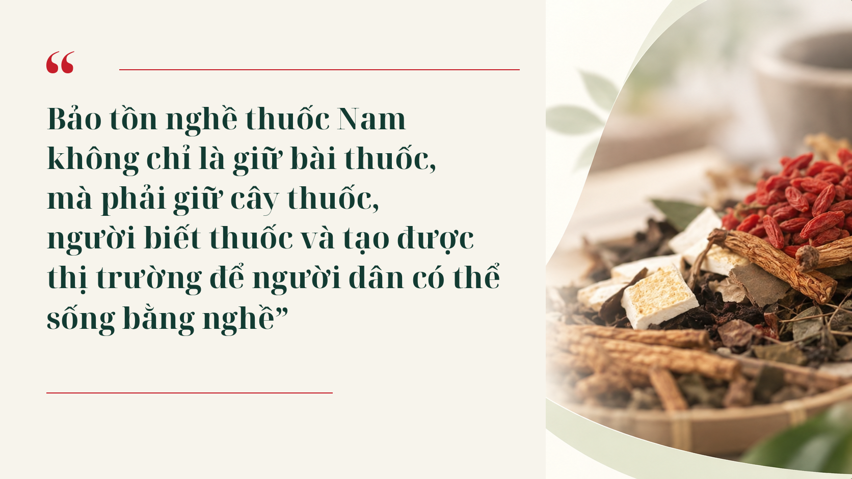Để thuốc Nam người Dao Ba Vì sống cùng thị trường