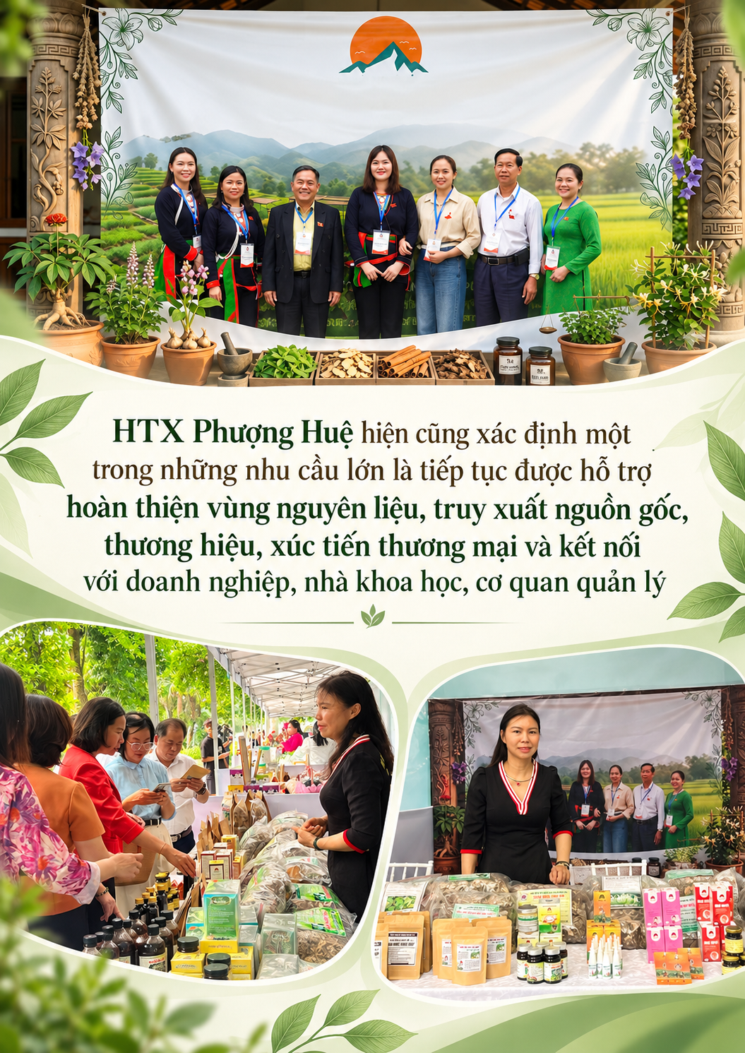 Để thuốc Nam người Dao Ba Vì sống cùng thị trường
