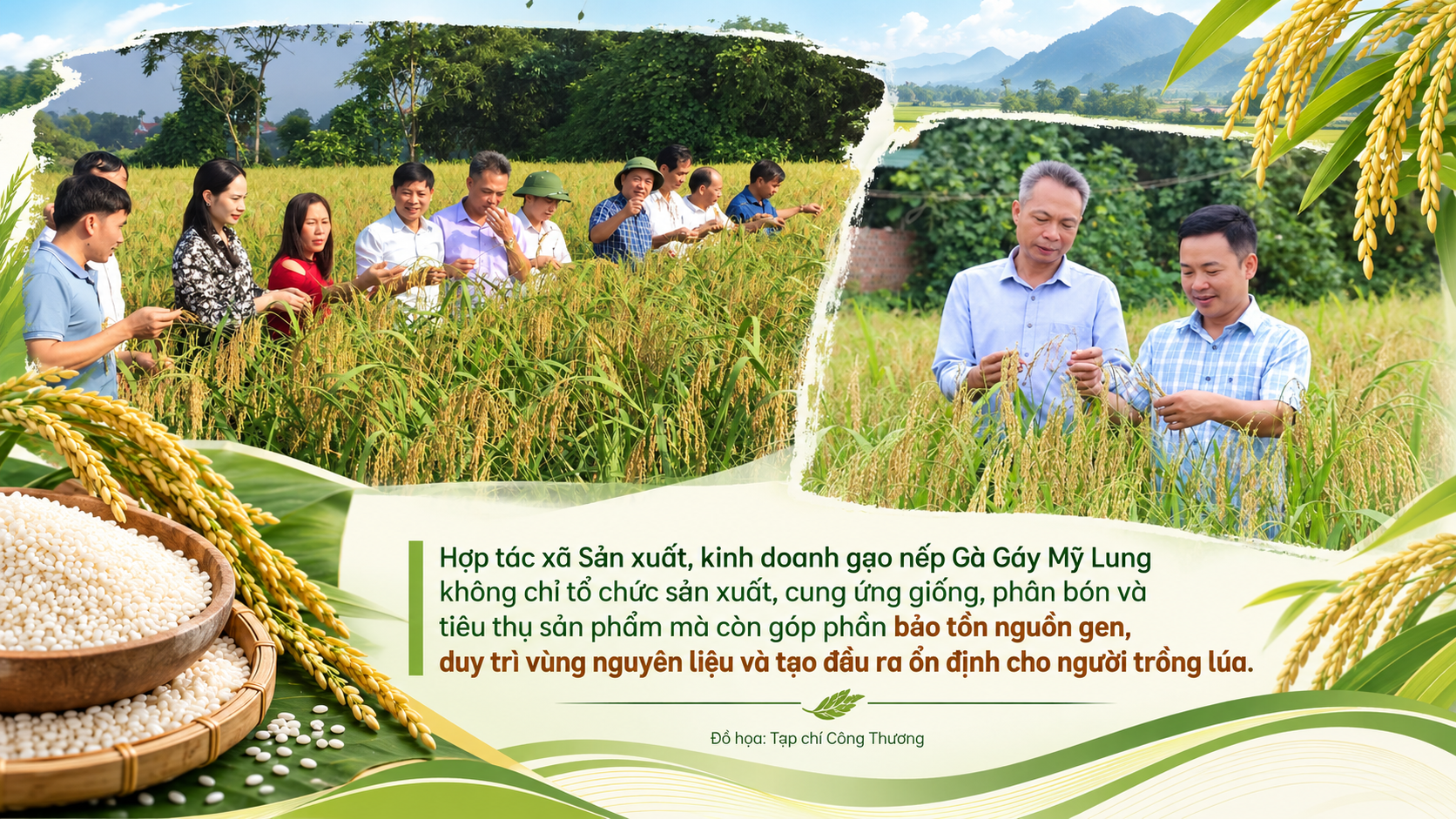 Phú Thọ
