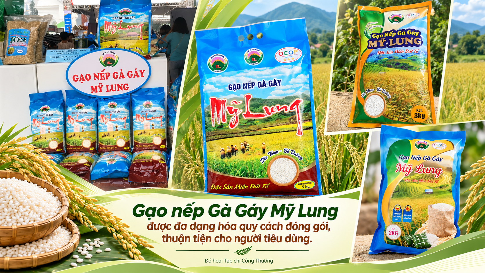 Phú Thọ