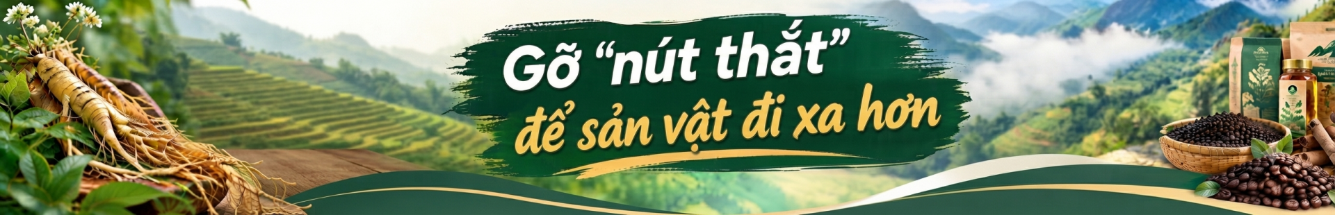 Quảng ngãi