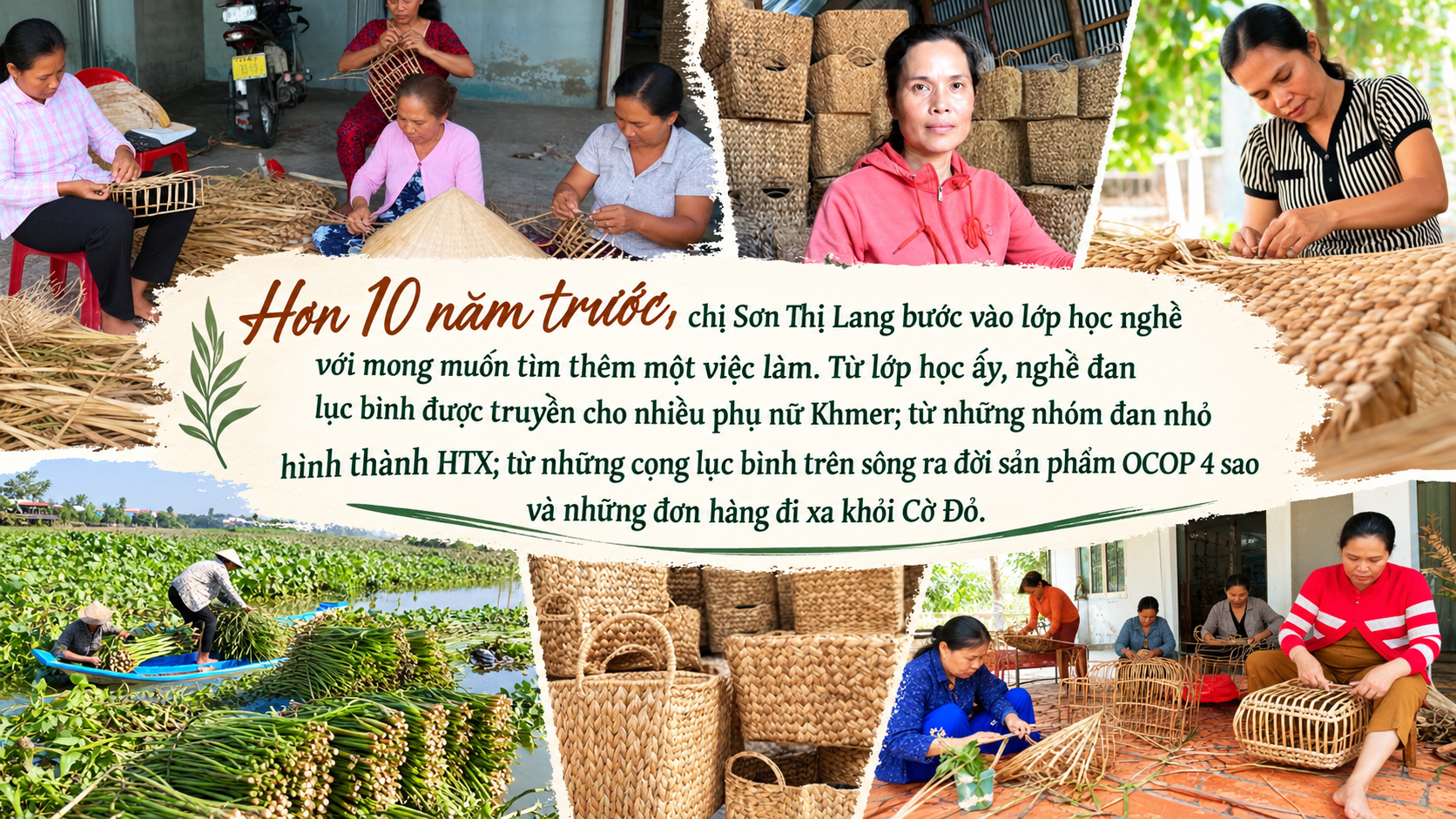 lục bình