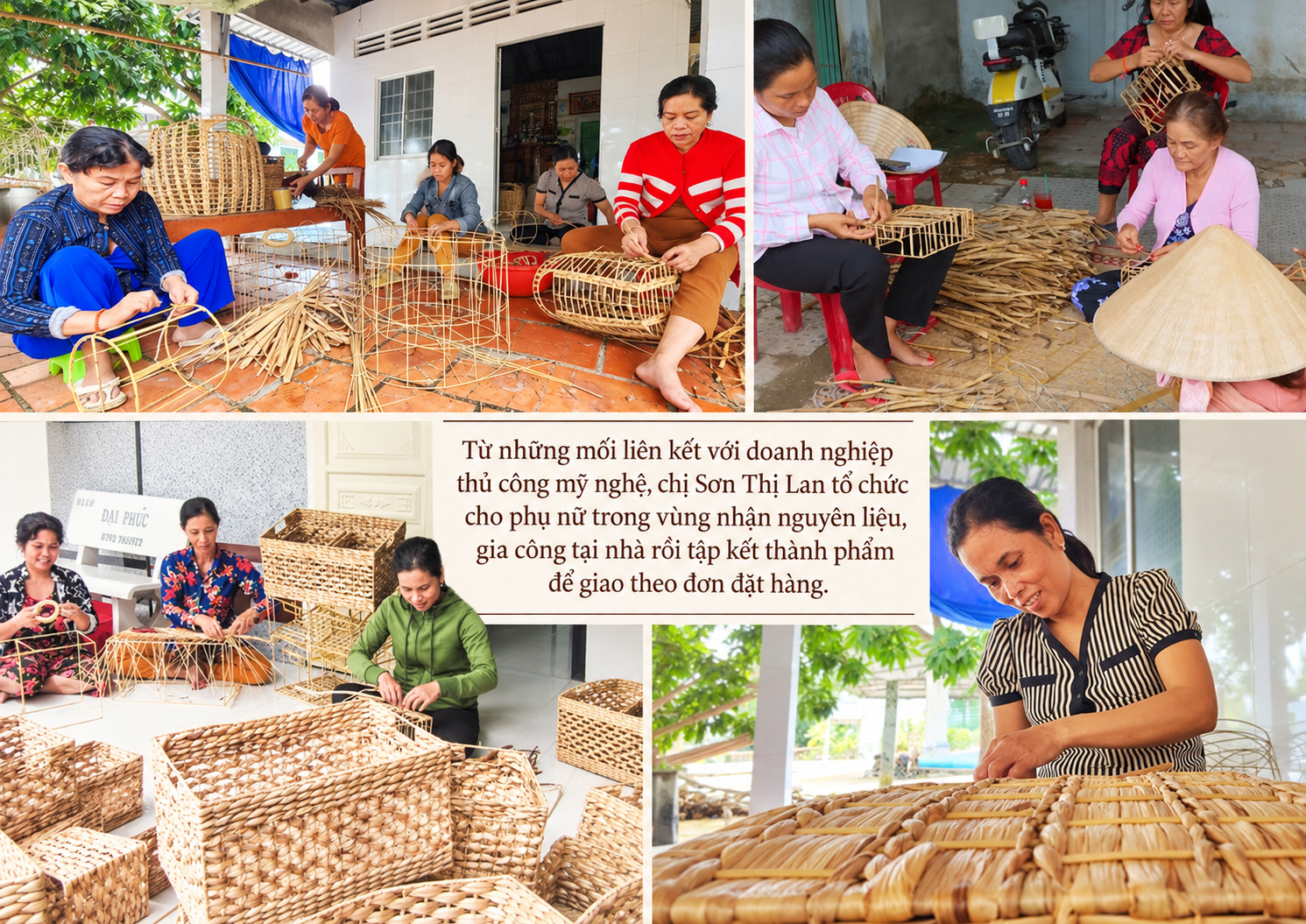 lục bình