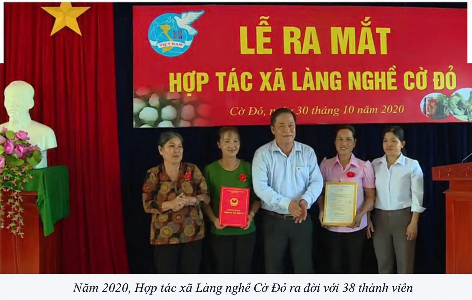 lục bình