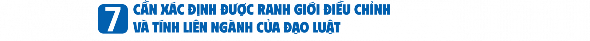 Luật Giao dịch hàng hóa phái sinh