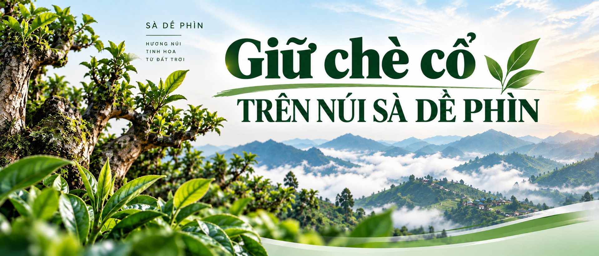 Sà Dề Phìn