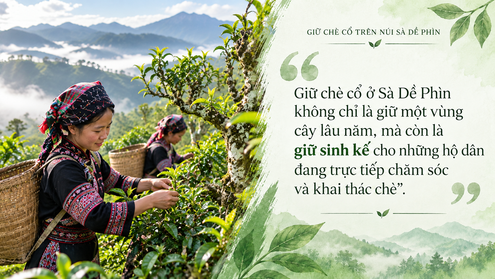 Sà Dề Phìn
