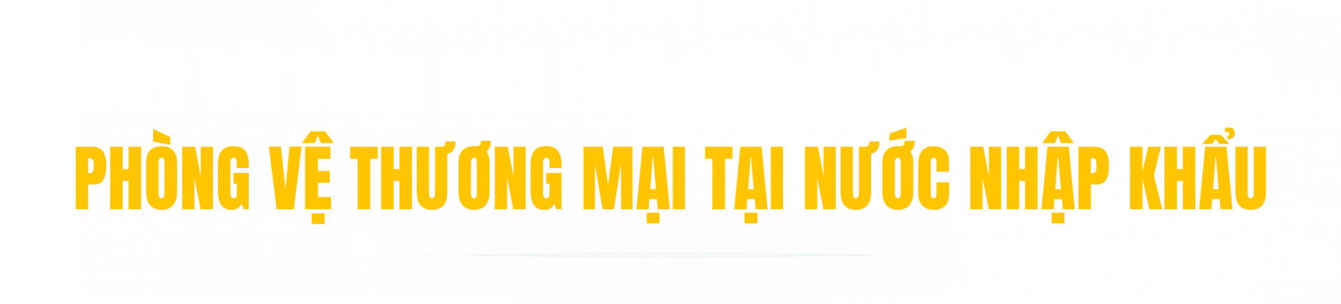 Theo dõi đồng thời tình hình áp dụng biện pháp phòng vệ thương mại tại nước nhập khẩu