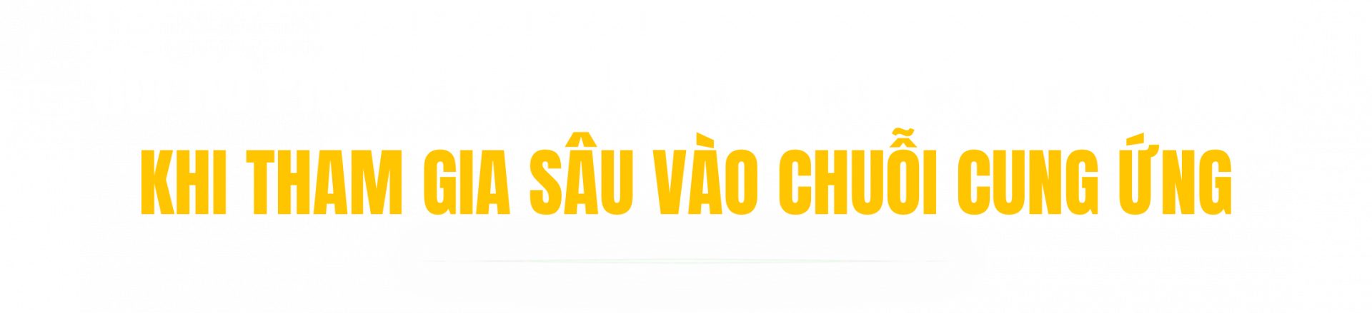 Theo dõi đồng thời tình hình áp dụng biện pháp phòng vệ thương mại tại nước nhập khẩu