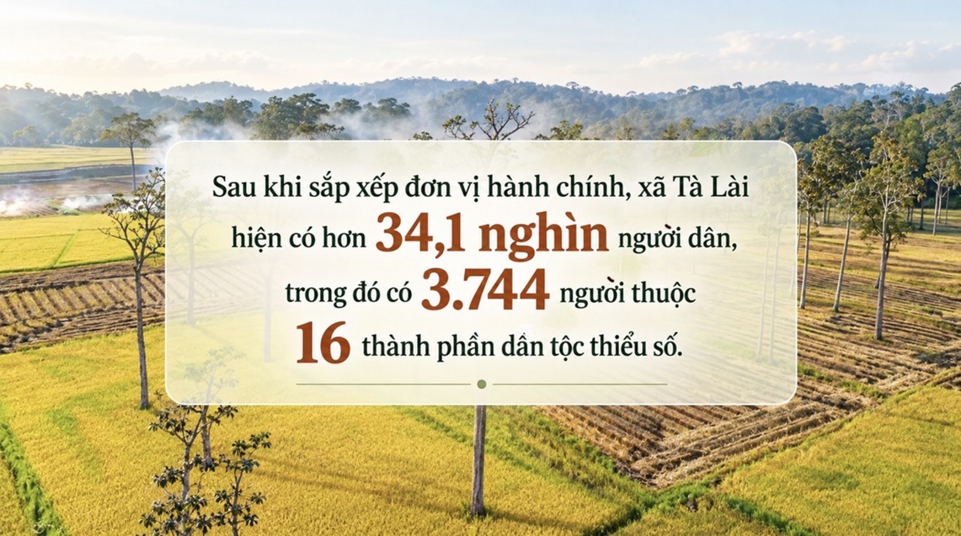 Tà Lài