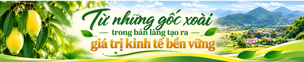 Sơn La