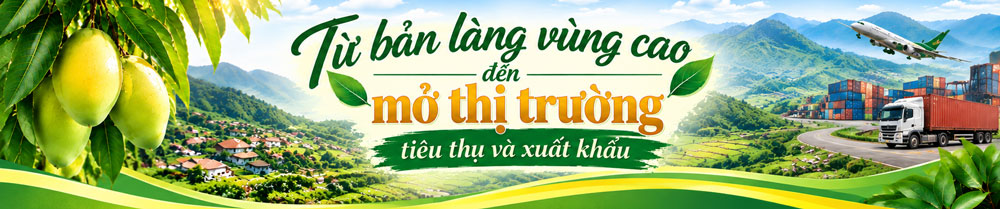Sơn La