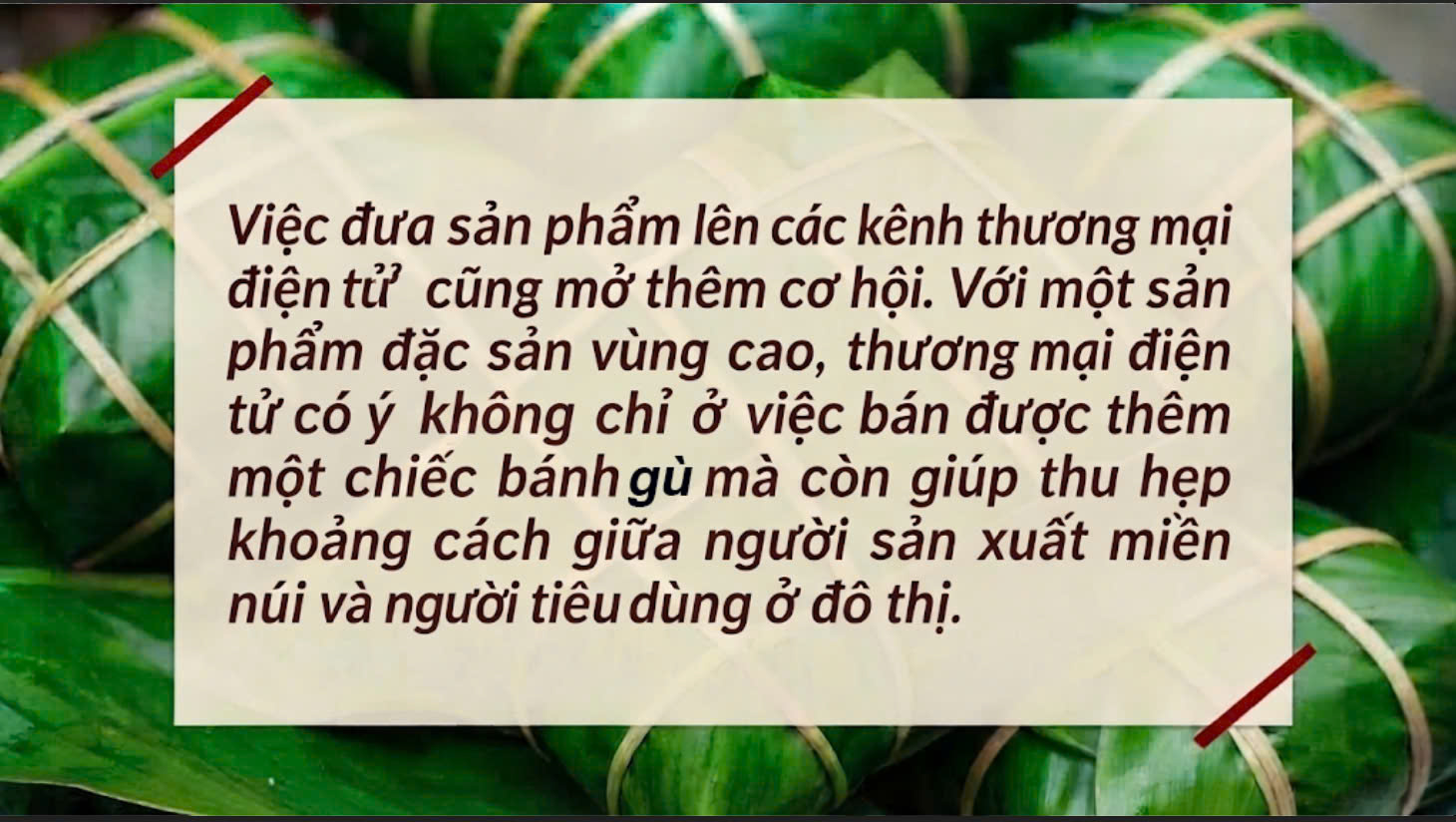bánh chưng gù Bản Tùy