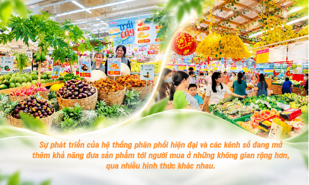 ảnh 7