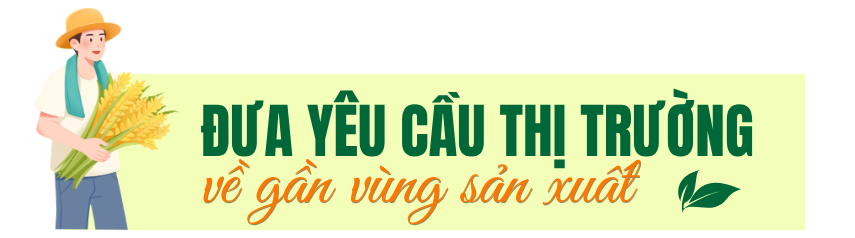 tít xen 1