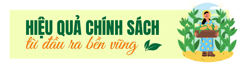 tít xen 3