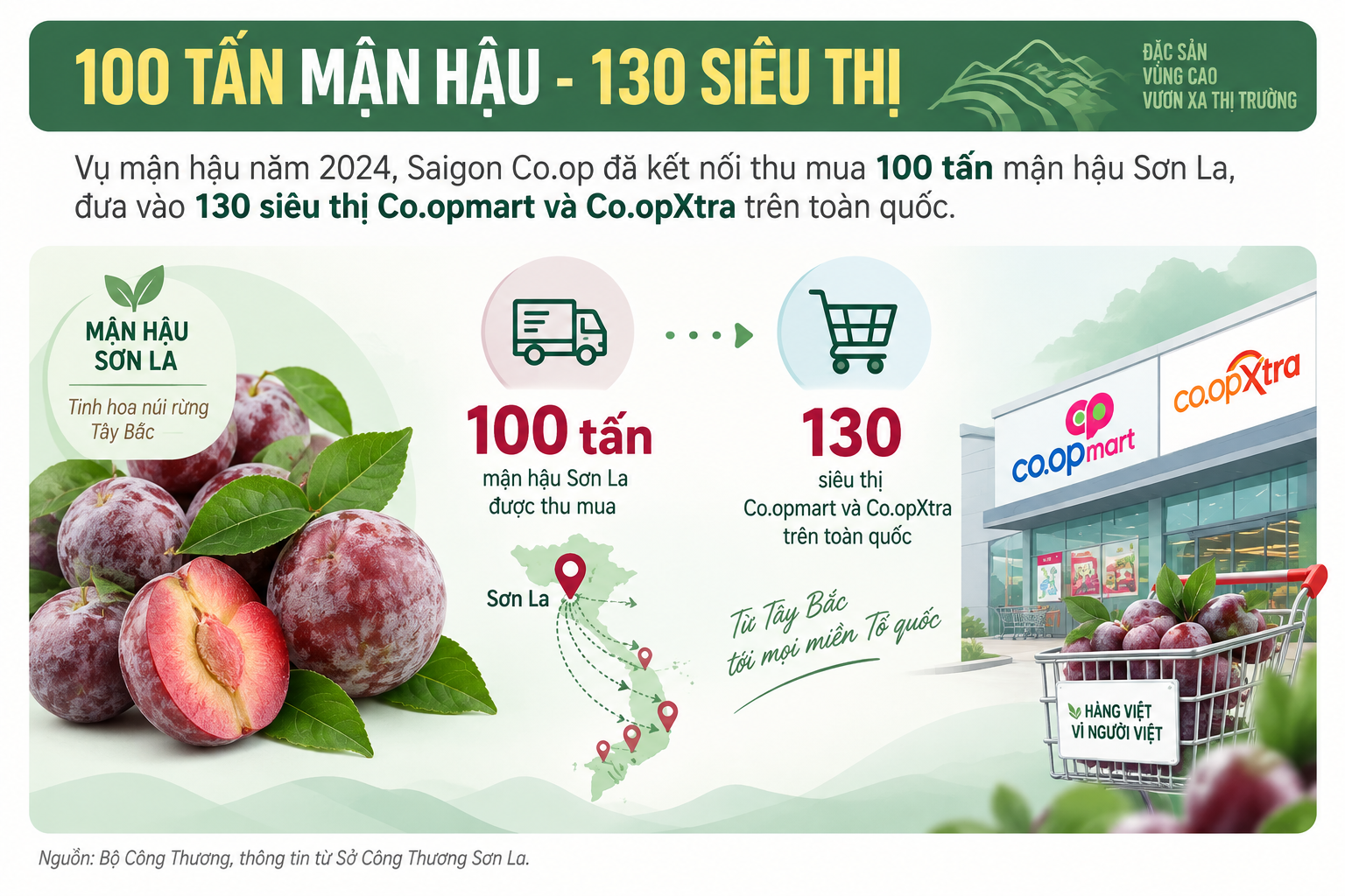 mận hậu