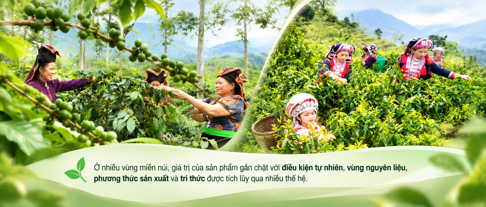 ảnh ghép 1