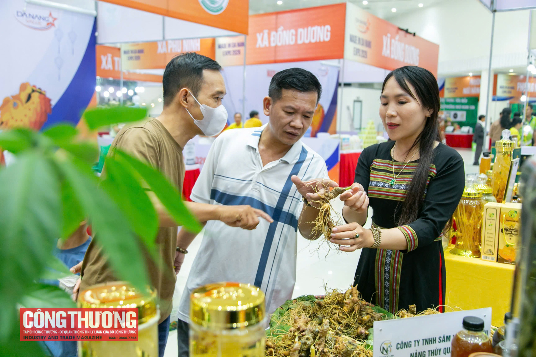 Sâm Ngọc Linh