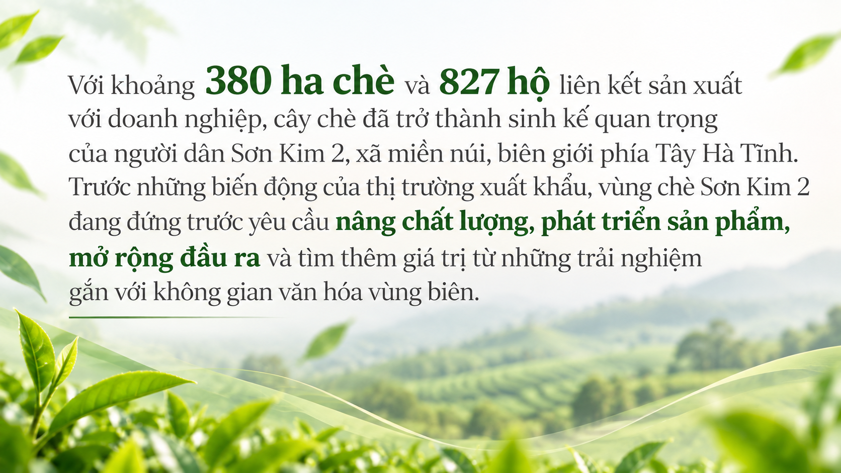 Sơn Kim