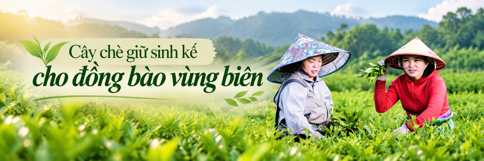 Sơn Kim
