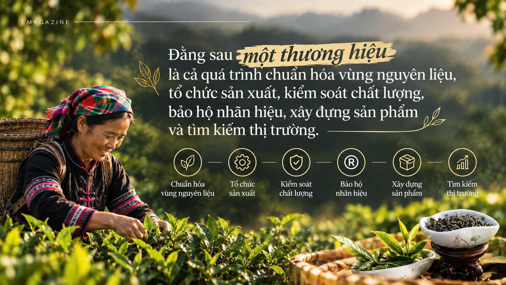 chè San tuyết