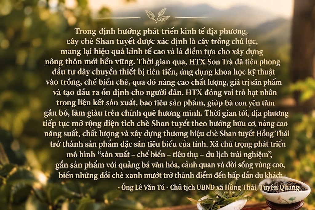 chè Shan tuyết
