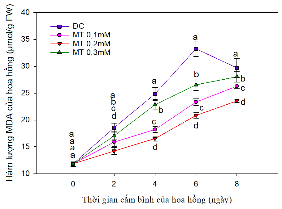 thời gian cắm bình