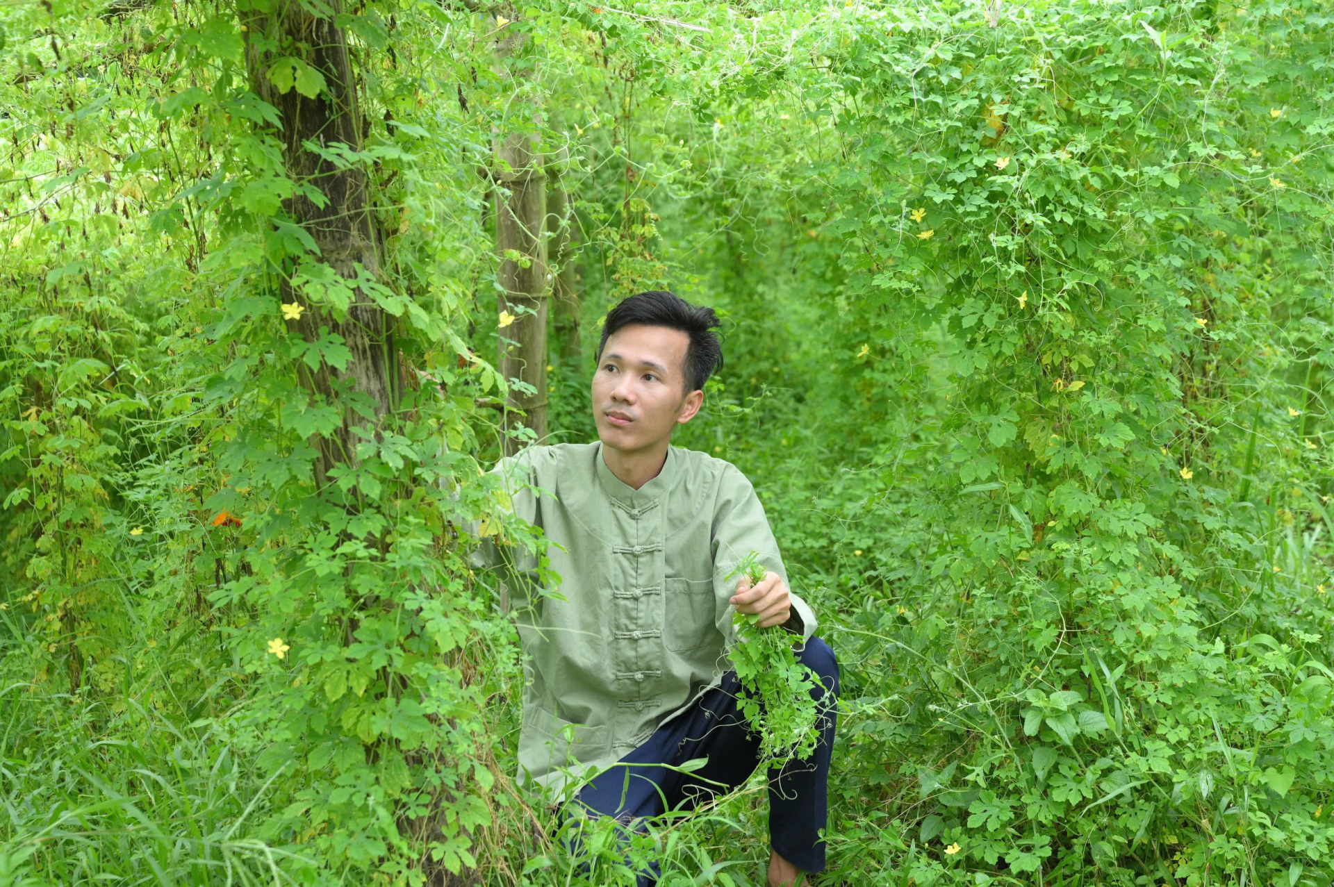 Thái Nguyên