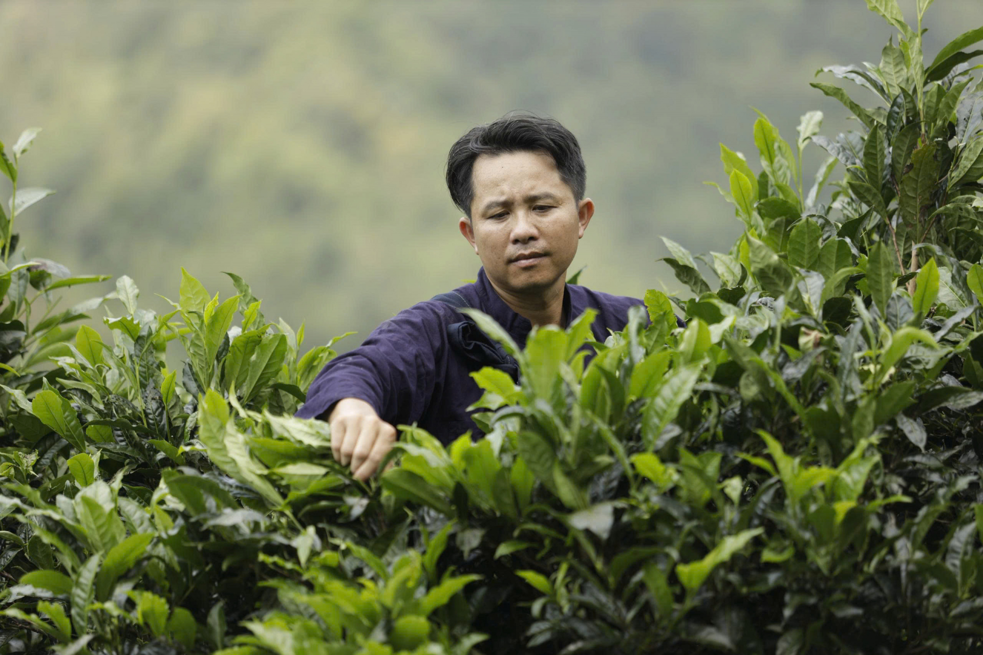Thái Nguyên
